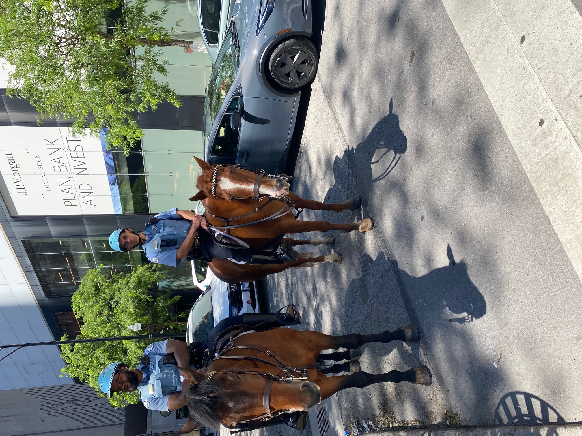 Mounted Patrol Officers on Michigan Avenue